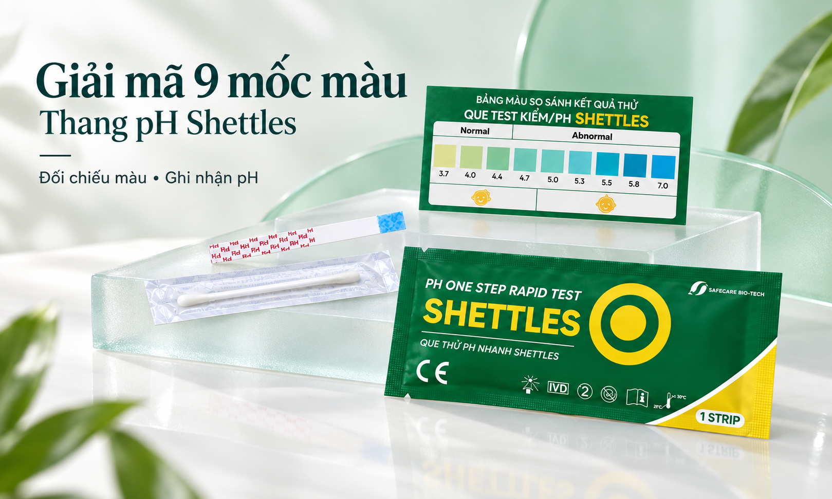 Que thử kiềm – axit chuẩn hiện nay cho chị em dễ dàng theo dõi tại nhàTin tức xã hội