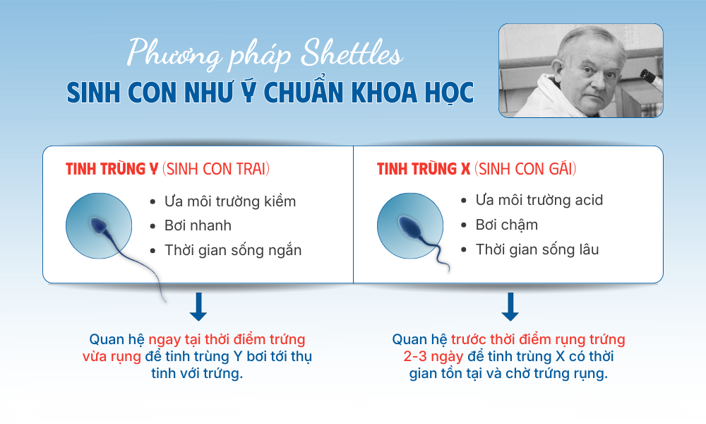 Lịch trình sinh con như ý chi tiết theo phương pháp Shettles từ chuyên giaTin tức xã hội